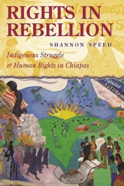 rights-in-rebellion